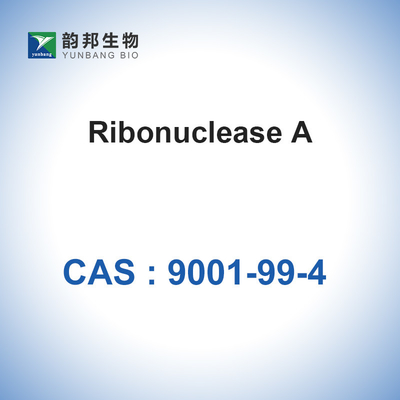 RN아제 A 리보뉴클레아제 한 소 췌장 생물학적 CAS 9001-99-4로부터