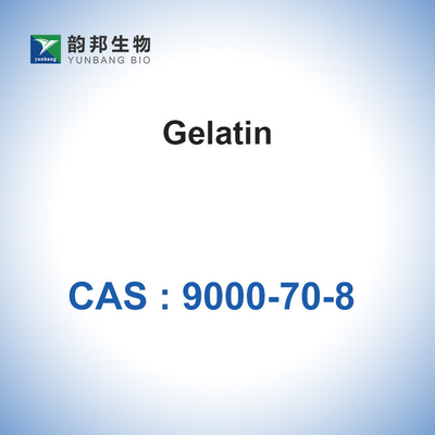 CAS 9000-70-8 젤라틴 분말 흡수성 젤라틴 스폰지 농축 장치