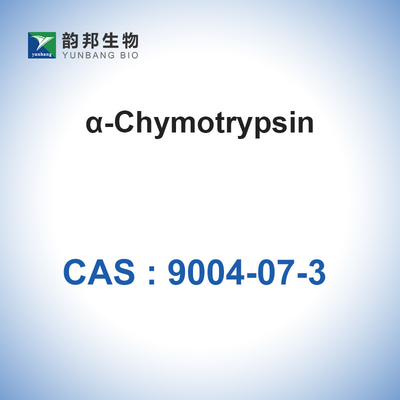 9004-07-3 생물학적 촉매 효소 Chymotrypsin(&gt;1200u/Mg)α-Chymotrypsin