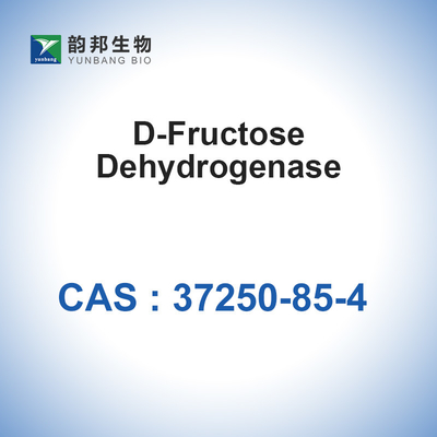 CAS 37250-85-4 D-과당 탈수소효소 20u/mg 생물학 촉매 효소