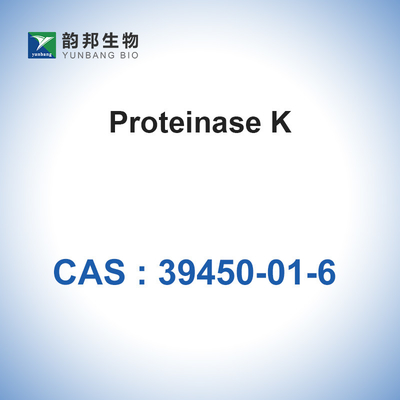 Proteinase K CAS 39450-01-6 시약 효소 SGS 승인 생화학