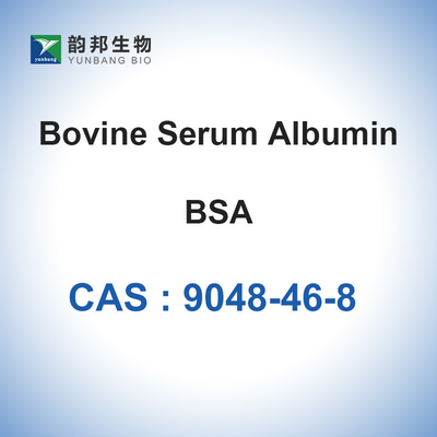 보빈 세륨 알부민 파우더 CAS 9048-46-8 생화학 시약 BSA 냉동 건조 파우더