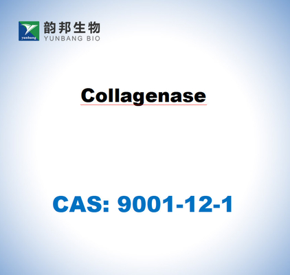 CAS 9001-12-1 클로스트리디움 히스토리틱움의 콜라겐아스 TYPE I