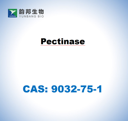 CAS 9032-75-1 아스퍼길루스 니거의 펙티나스