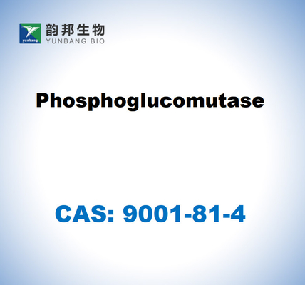 CAS 9001-81-4 포스포글루코무타스 EC 5.4.2.2