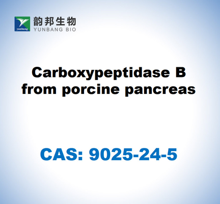CAS 9025-24-5 돼지 췌장에서 얻은 카복시 펩티다제 B