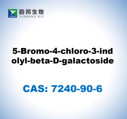 CAS 7240-90-6 5-브로모-4-클로로-3-인돌릴-베타-D-갈락토사이드