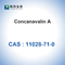 CAS 11028-71-0 Canavalia Ensiformis Jack Bean의 Concanavalin A