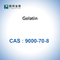 CAS 9000-70-8 젤라틴 분말 흡수성 젤라틴 스폰지 농축 장치