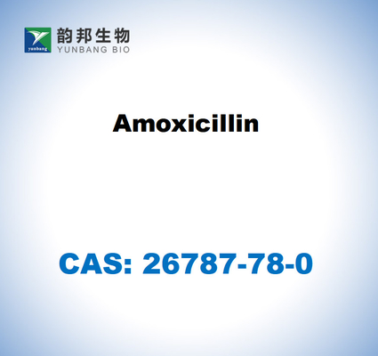 CAS 26787-78-0 아모시실린