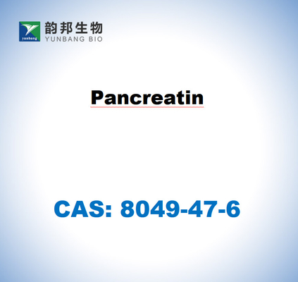 CAS 8049-47-6 돼지 췌장에서 얻은 췌장