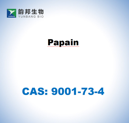 CAS 9001-73-4 파파야 라텍스에서 얻은 파파인