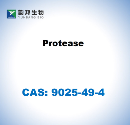 CAS 9025-49-4 Aspergillus saitoi의 단백질산