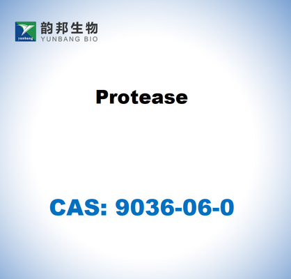 CAS 9036-06-0 스트렙토마이세스 그리세우스 (Streptomyces griseus) 의 단백질산