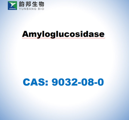 CAS 9032-08-0 아스퍼길루스 니거의 아밀로그루코시다스