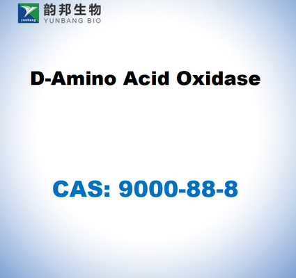 CAS 9000-88-8 돼지 신장에서 얻은 D-아미노산화