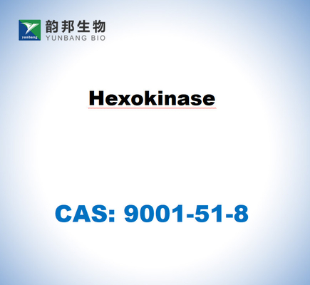 CAS 9001-51-8 사카로마이세 세레비시아에서 나오는 헥소키나스