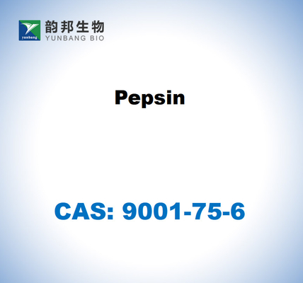 CAS 9001-75-6 돼지 위 점막의 펩신