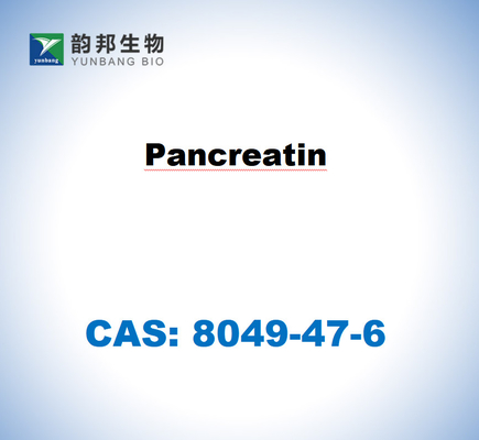 CAS 8049-47-6 돼지 췌장에서 얻은 췌장