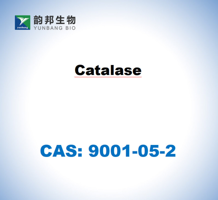 CAS 9001-05-2 소의 간에서 얻은 카탈라스