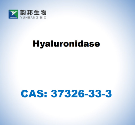 소의 고환에서 얻은 CAS 37326-33-3 히알루노니다스