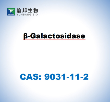 CAS 9031-11-2 아스퍼길루스 니거의 β-갤락토시다스