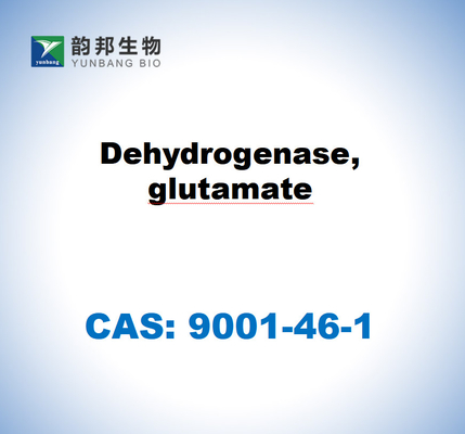 CAS 9001-46-1 디히드로게나스, 글루타마트