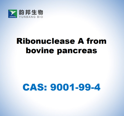 CAS 9001-99-4 소의 췌장에서 얻은 리보뉴클레아스 A