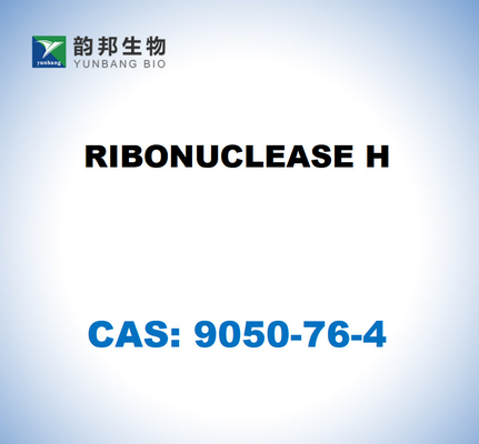 CAS 9001-99-4 리보뉴클레이스 H