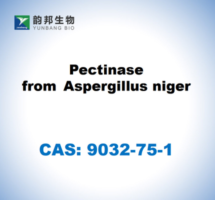 CAS 9032-75-1 아스퍼길루스 니거의 펙티나스