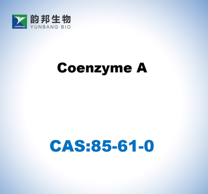 CAS 85-61-0 코엔질 A 85% 세포 배양 등급