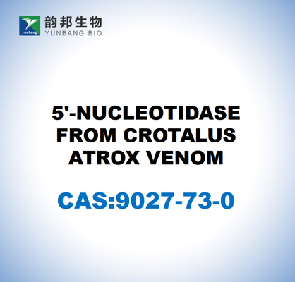 CAS 9027-73-0 CROTALUS ATROX 독에서 나오는 5'-핵산