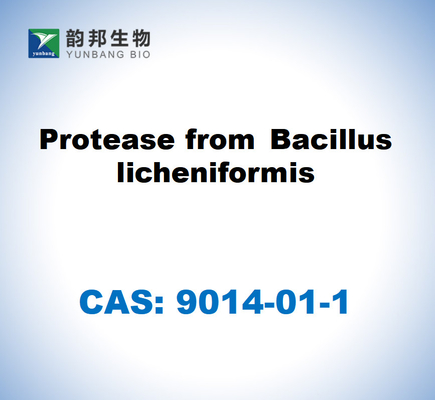 CAS 9014-01-1 Bacillus Licheniformis로부터의 단백질