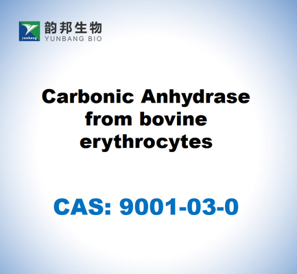 CAS 9001-03-0 소의 적혈구에서 얻은 탄산산화물