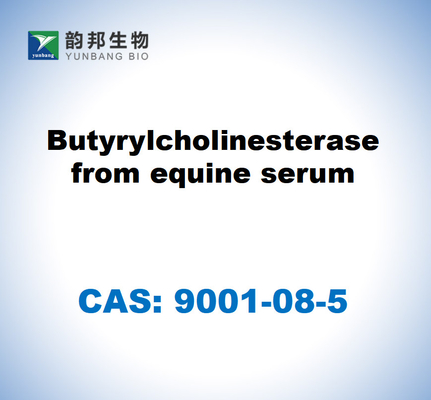 CAS 9001-08-5 말의 혈청에서 나오는 부티릴콜린스테라스