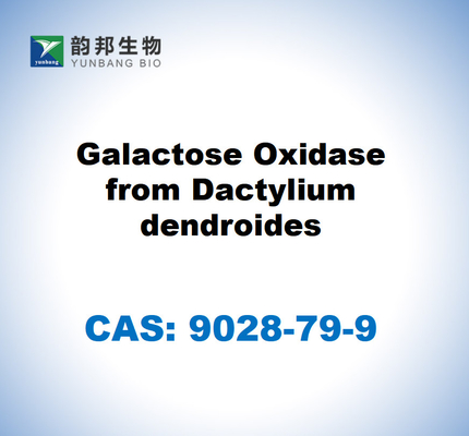 CAS 9028-79-9 다크틸리움 텐드로이드에서 나오는 갈락토스 산화