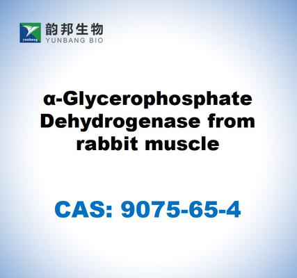 CAS 9075-65-4 토끼 근육의 α-글리세로포스파트 탈수화