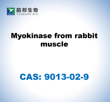 CAS 9013-02-9 토끼 근육의 미오키나스