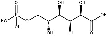 CAS 921-62-0 6-포스포글루콘산 바륨 소금