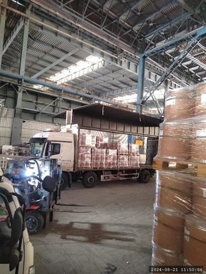 CAS 57-83-0 프로게스테론 생화학적 반응기 제공