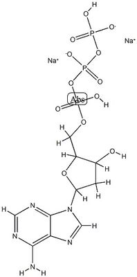 CAS9000-30-0 실험실용 구어 잇기 생화학적 반응제