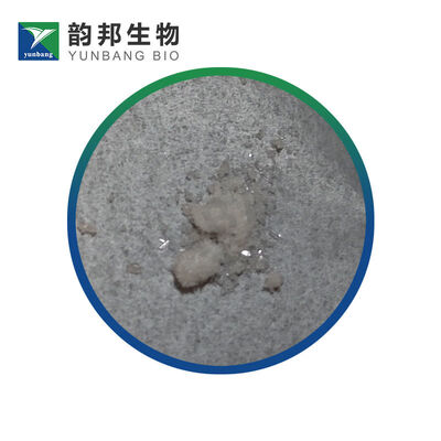 CAS 93-99-2 페닐 벤조아트 실험실용 생화학적 반응제